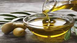 olive oil 