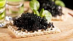 Tehran now a hub for global caviar market: Official 