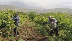 FAO recognizes four new sites as GIAHS, Iran maintains 4th place worldwide