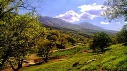 The silent gold of Zagros: Acorn flour an alternative to wheat