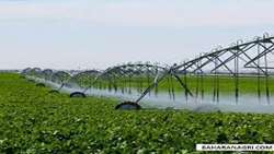 Over 360,000 hectares of farmland in South Khorasan Province equipped with modern irrigation systems: Official 