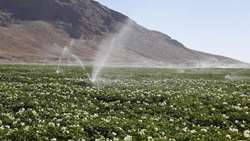  Nationwide agricultural land-use mapping initiative launched to support sustainable development