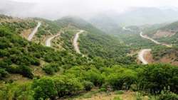 Iran to host Intl conference on Zagros Forest