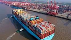 Iran food, livestock exports to Germany rise in 2024