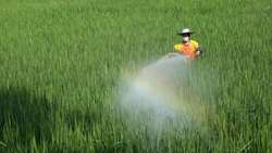 Iran bans high-risk pesticides to protect public health 