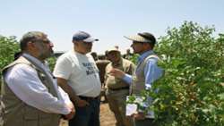 FAO expert visits Iran to help boost pistachio competitiveness in global market