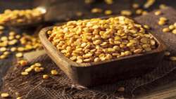 Azarshahr Iran’s global hub for split pea production