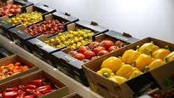 Agro-food exhibition to run alongside Caspian littoral governors’ summit in Gilan