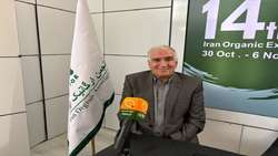 Future of Iran’s exports lies in organic products: Official 
