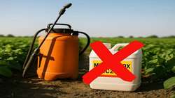 Iran Plant Protection Organization bans highly toxic insecticide 
