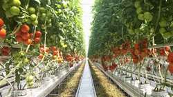 Kyrgyzstan, Khorasan Razavi able to carve niche markets in Europe: Official 