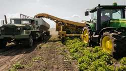 Expert: Scientific planning can cut 30m tons of agricultural waste