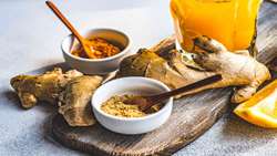 Hamedan launches pilot cultivation of ginger, turmeric in push for low-water farming
