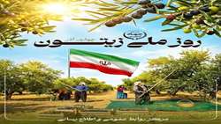 Iran marks National Olive Day 