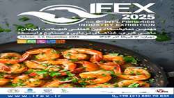 Tehran gearing up to host IFEX 2025