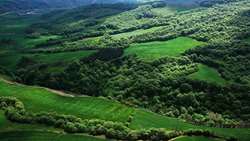 Iran calls for unified efforts to safeguard Hyrcanian Forest