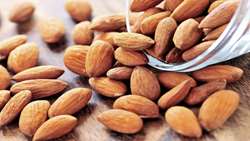 East Azarbaijan, Iran’s leading almond-producing province