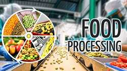 Agro-processing Industries, non-oil exports vital for food security: Official 