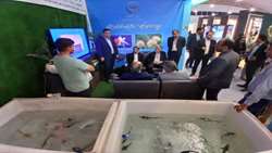 South Khorasan showcases aquaculture potential at Iran - Afghanistan Expo