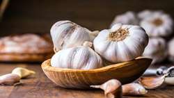 East Azarbaijan ranks second in Iran for fresh garlic production