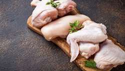 Iran approves 10,000-ton chicken meat export to support poultry sector