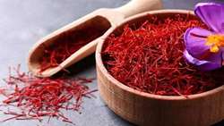 Iran produces over 90 percent of world’s saffron: Minister 