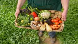 Iran ranks 79th globally in organic production 