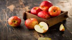 North Khorasan exports 1,500 tons of apples to Iraq
