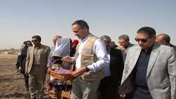 FAO envoy: Iran tops world in saffron production