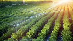 Iran unveils major irrigation plan to boost agriculture