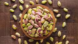 Harvest of over 1,000 tons of pistachios underway in Southern Kerman
