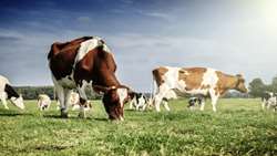 Iran launches major agricultural, livestock export terminal in south