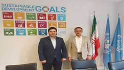 Iran Agricultural Insurance Fund seeks to expand cooperation with FAO