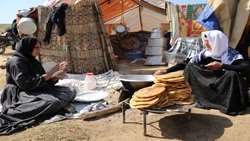 Official highlights role of nomads in Kermanshah’s economy 