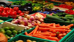 Ministry of Agriculture excels in ensuring food security amid aggression, report says 