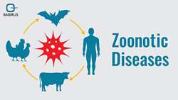 Iran says pursuing extensive measures to prevent, control zoonotic diseases