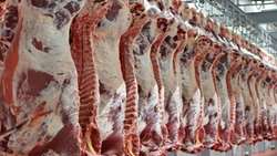 Iran produces 18m tons of raw animal products in one year: IVO