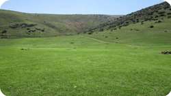 4m hectares of Iran’s rangelands restored in 2025, official says 