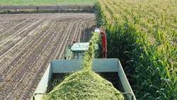Off-season forage harvest underway across Tehran province