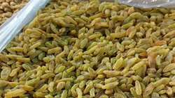 Bonab leads East Azarbaijan in raisin processing, exports