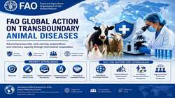 FAO welcomes Iran’s bid to join global initiative against Transboundary Animal Diseases