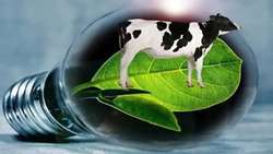 Fars province transforms livestock waste into clean energy