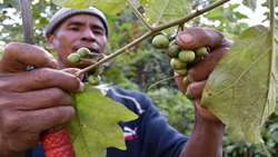 August 9, International Day of World’s Indigenous Peoples 