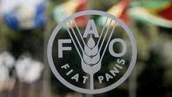 Iran joins FAO global animal disease Program