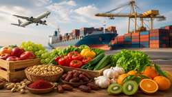 North Khorasan agricultural exports target intl markets