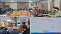 Iran introduces software to calculate optimal seeding rates for field crops