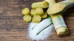 Iran pushes sugar technology frontier with indigenous expertise