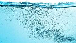 Iran advances nano-bubble tech to bolster aquaculture food security