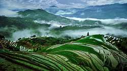 104 sites recognized as Globally Important Agricultural Heritage Systems