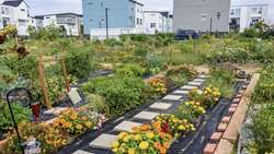 Urban agriculture key to future food security